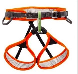 petzl hirundos 2010