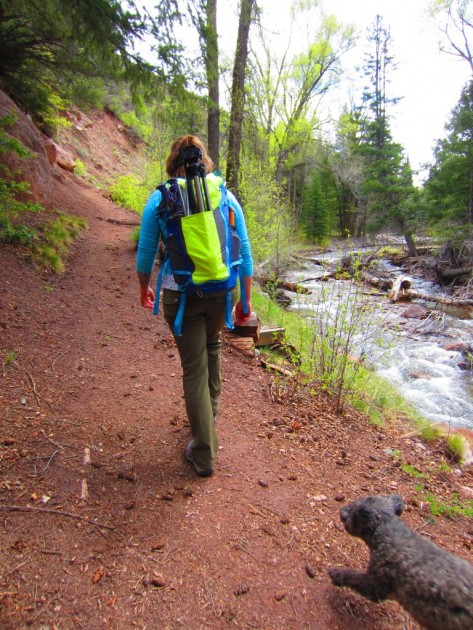 merrell azura for women - hiking along river banks in the rocky mountains.