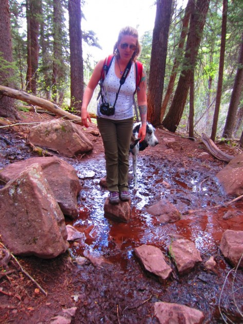 merrell azura for women - rock hopping to avoid the mud? either route is fine in a good pair...