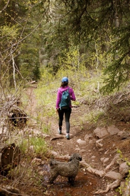 asolo athena for women - the athenas are lightweight and comfortable enough for a dog walk...