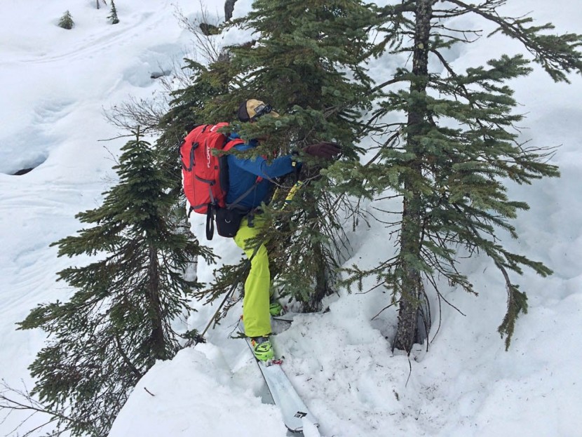 black diamond glidelite mohair pure - lead test editor at rogers pass. backcountry skiing isn't always...