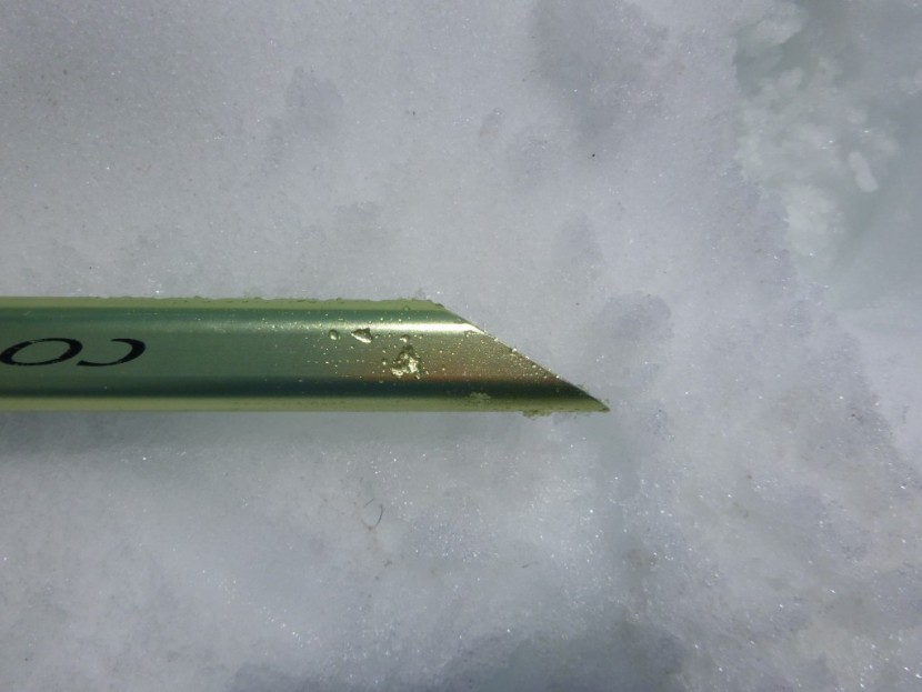 camp corsa - showing the spike of the camp corsa. in the case of the corsa, the...