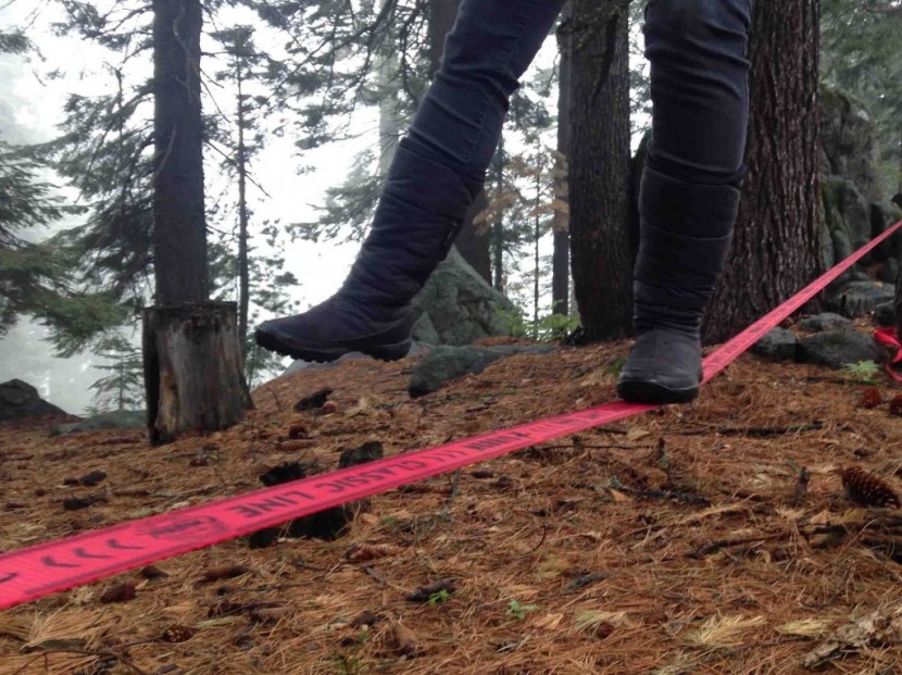 gibbon classicline - libby sauter enjoying a casual stroll close to the ground.