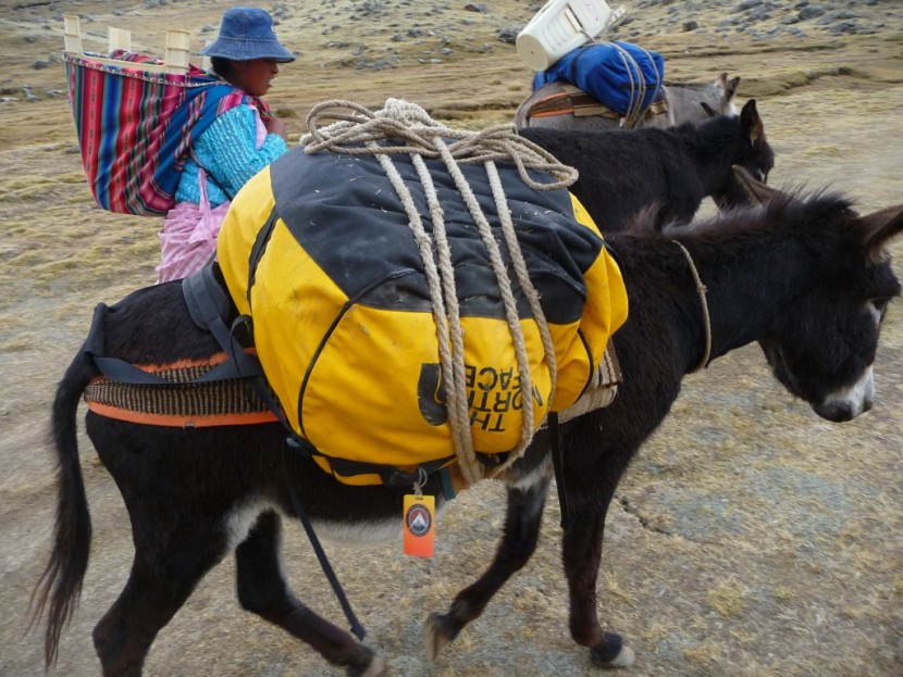 duffel bag - the base camp duffel is one of our longtime favorites that sets the...