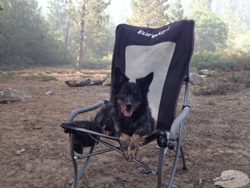 eureka curvy high-back - all our testers found the eureka to be extremely comfortable!