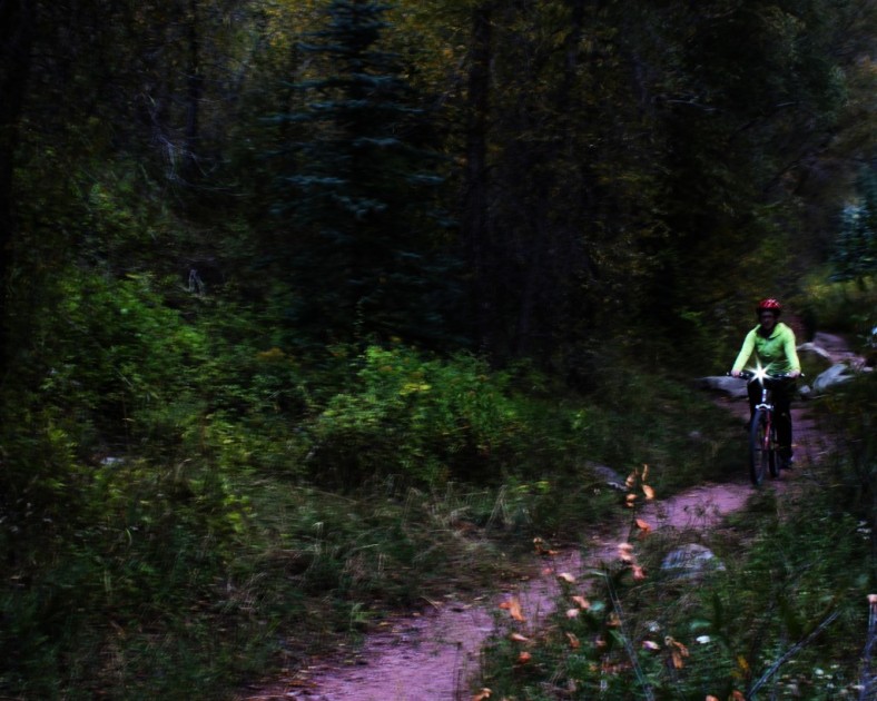 bike light - the cygolite expilion 850 accompanies our testers on daily commutes...