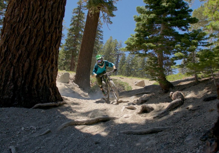 fox d.o.s.s - flying into an unexpected burly root section of trail was unnerving...