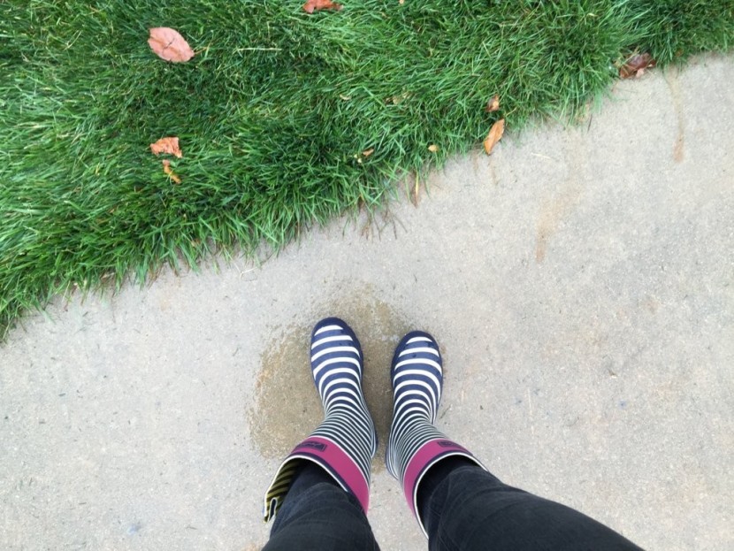 joules wellyprint - this boot will keep you dry and looking cute, but we didn't think it...