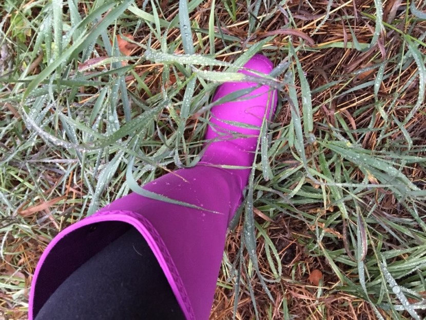 kamik jennifer - this product has one of the tallest shafts in our review. if you...