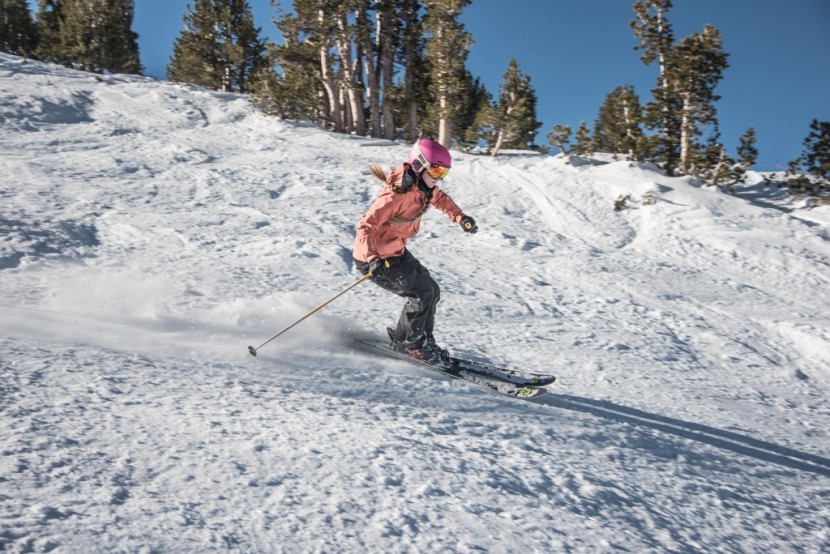 dynastar cham 2.0 97 for women - the cham is stable enough to bust through heavy crud.