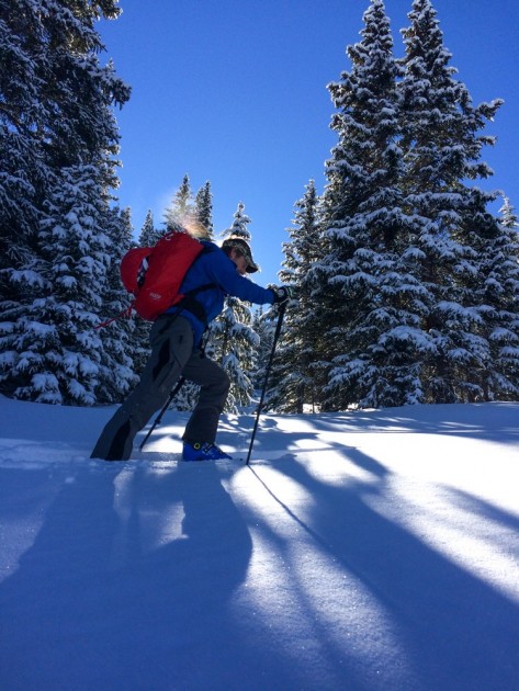 dps tour1 wailer 99 - cold breaths, soft sparkly snow, and snow-flocked trees are the...