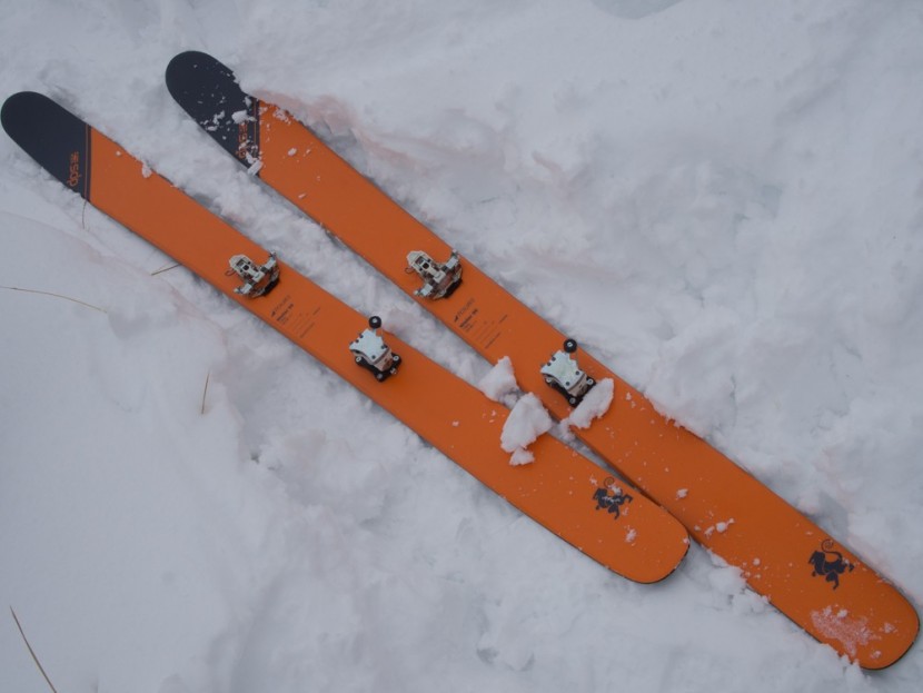 dps tour1 wailer 99 - we like good, light skis. if they can have light-colored top sheets...