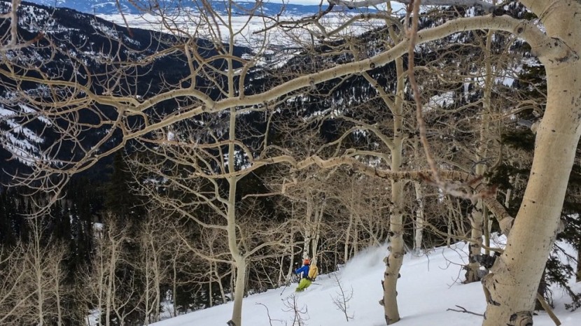 dynafit cho oyu - the dynafit cho oyu in soft, old snow on the west side of wyoming's...