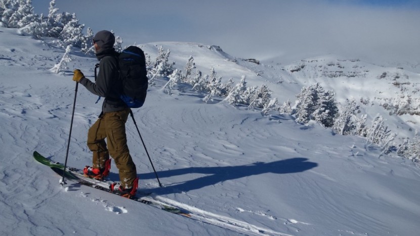 burton landlord - skinning up red lake peak.