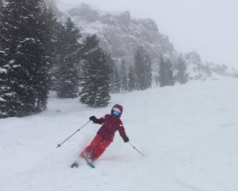 the north face cheakmus triclimate - the north face cheakamus triclimate 3-in-1 has all the necessary ski...