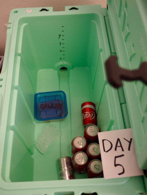 grizzly 75 - the grizzly had just a sliver of ice left on day 5 of our insulation...