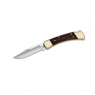 Product photo of Buck 110 Folding Hunter