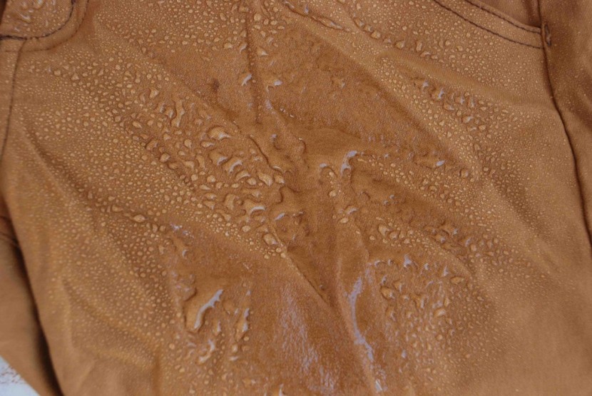 hiking pants women - water beads up for a barely a minute on some pants, then soaks right...