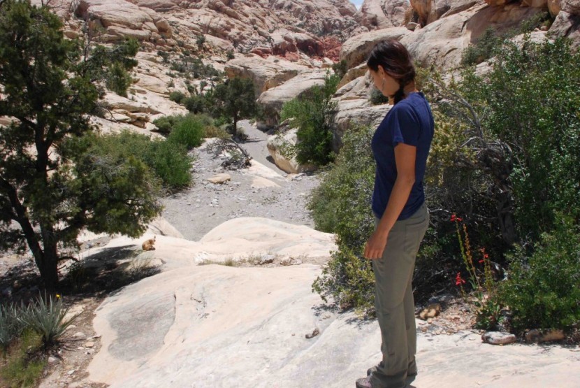 rei sahara roll-up for women - if you're heading out on a warm day for a quick jaunt without a big...