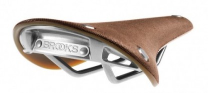 Product photo of Brooks Cambium C15