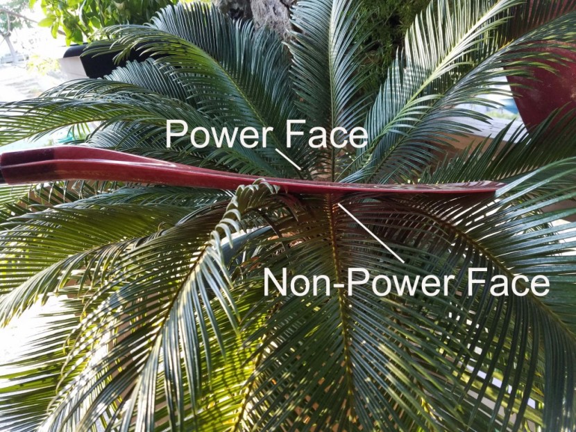 sup paddle - sides of the blade.