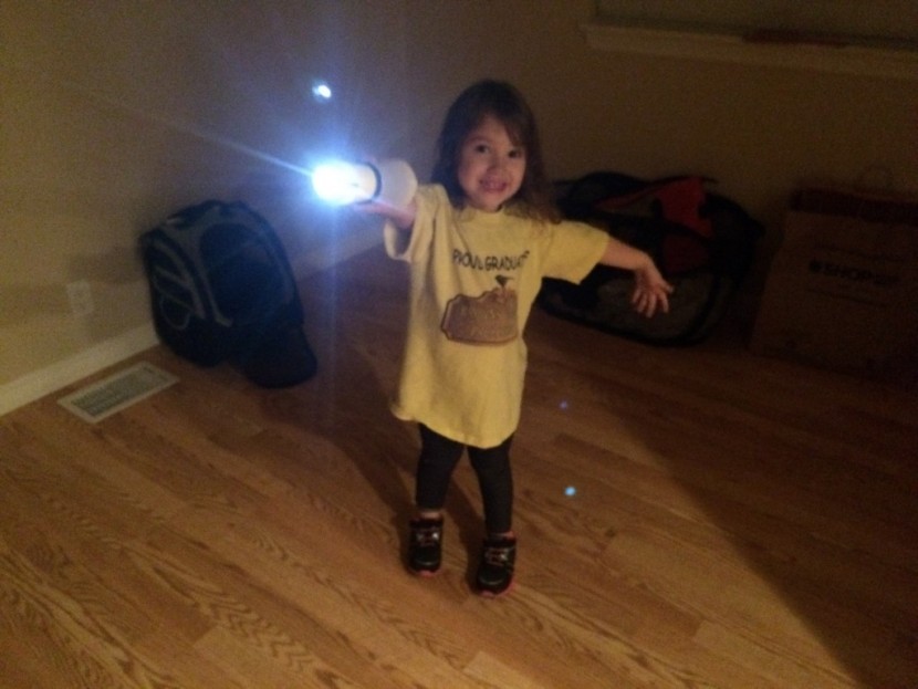 black diamond voyager - the voyager is a favorite with the kidlets. it's easy to switch...