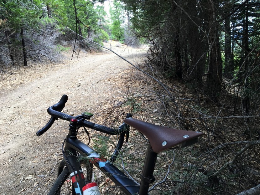 brooks cambium c15 - the cambium c-15 out for testing.