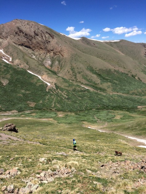 salomon fast wing hoodie - trail running with the dog following in the la garita wilderness...