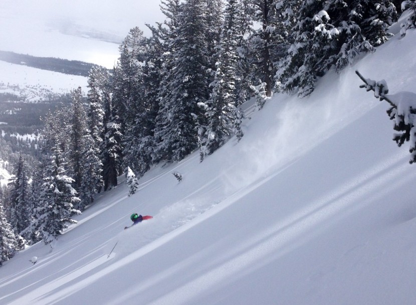 dynafit chugach - the chugach ski likes going fast. only when the rooster tail reaches...