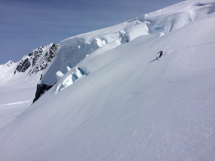 dynafit chugach - the chugach ski is named for the wide open, glaciated terrain of...