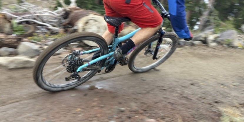 wtb trail boss tcs tough/fast rolling 2.25 - while this tire didn't quite lock into a corner like the rock razor...