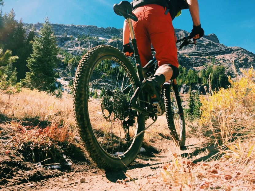 wtb trail boss tcs tough/fast rolling 2.25 - we chose to run this tire on the rear for our testing, but if you...