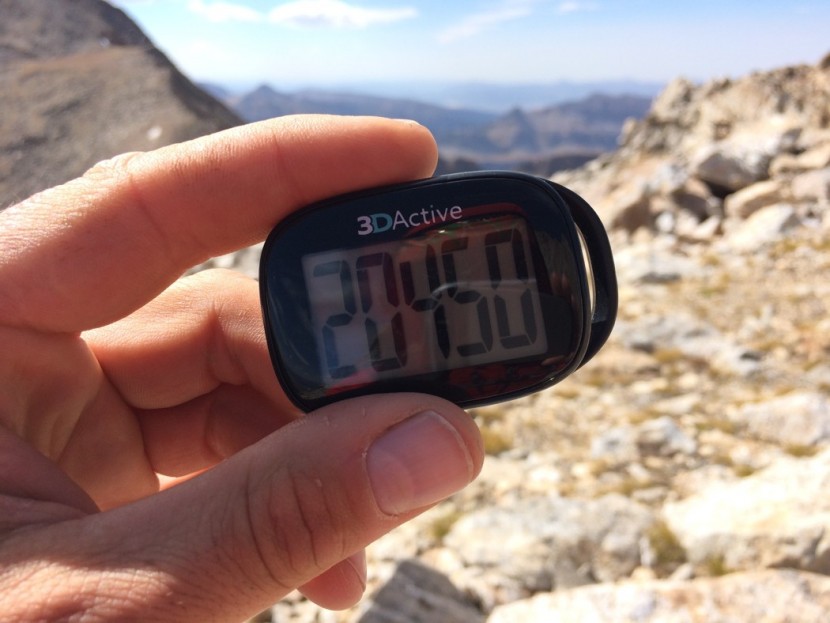 3dfitbud simple step counter - testing the accumulating step attribute of the 3dfitbud on a day...