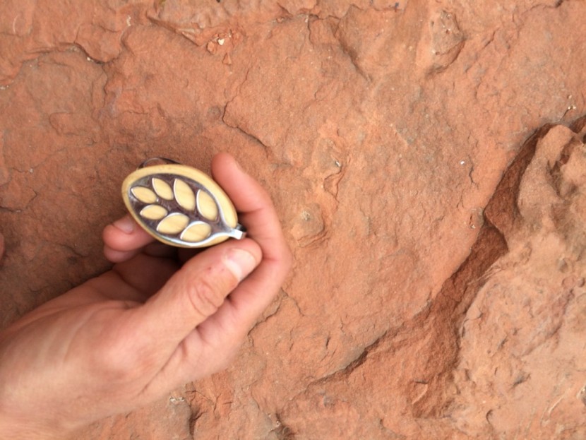 bellabeat leaf - the leaf device in an average-sized female hand, for scale. it isn't...