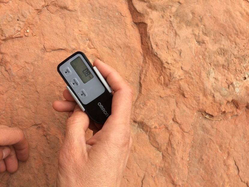 omron alvita optimized - the omron in an average female hand, for scale.