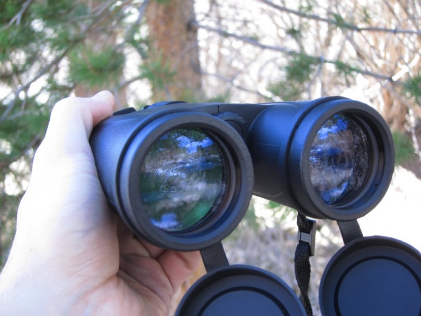 eagle optics shrike 10x42 - the lack of ed glass on the eagle shrike reduces the clarity and...