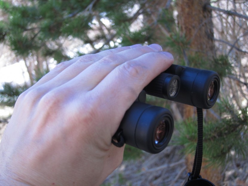 leica ultravid br 10x25 - this pair is the smallest and lightest pair we tested, seen here...