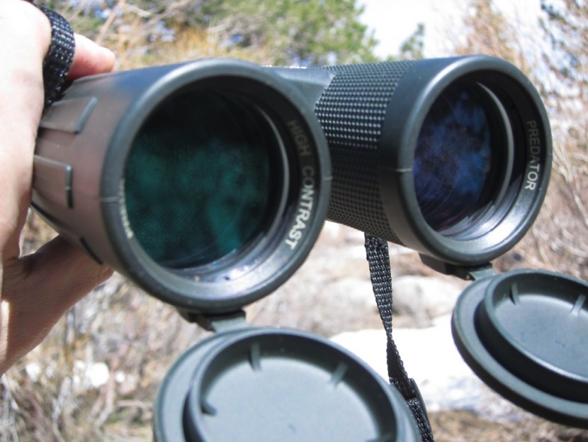 steiner predator 8x42 - the lenses on the stiener predator have a cat coating (color...