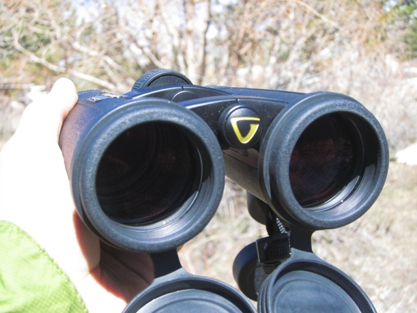 vanguard endeavor ed ii 10x42 - the ed glass on the vanguard endeavor makes for a clear and sharp...