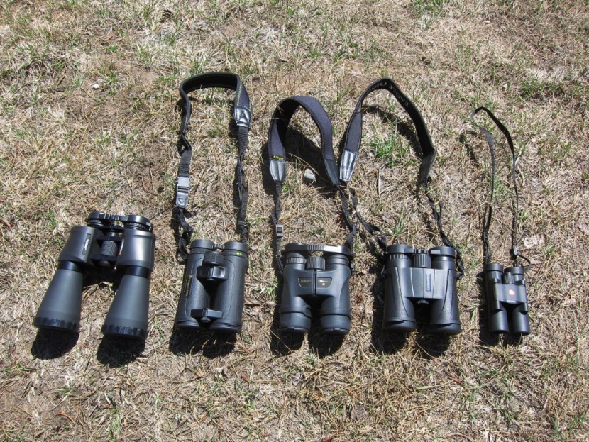 eagle optics shrike 10x42 - the 10x magnification pairs in our test. from l to r: celestron...