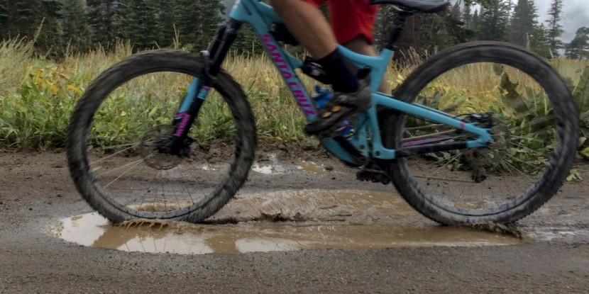 wtb trail boss tcs tough/fast rolling 2.25 - the trail boss doesn't care about your frozen toes, it's all about...