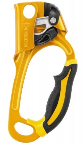 petzl ascension ascender