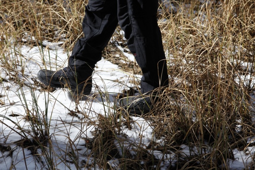 adidas outdoor terrex conrax boa - these boots are designed like really burly high top shoes. we found...