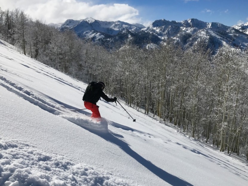 burton society - the burton society crushing backcountry powder.