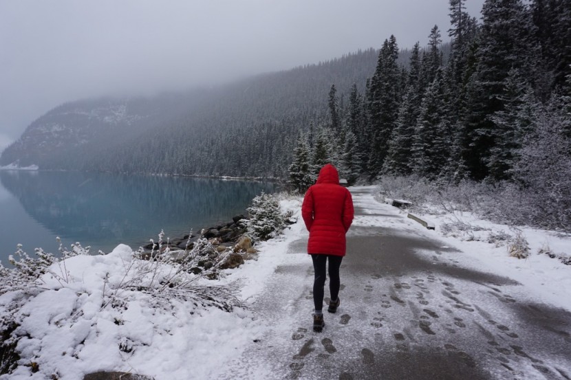 canada goose camp hooded - this jacket was very comfortable, for being such a form-fitting and...