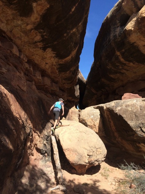 feetures! elite light cushion no show tab - testing running socks on a long canyon country run in the canyon...