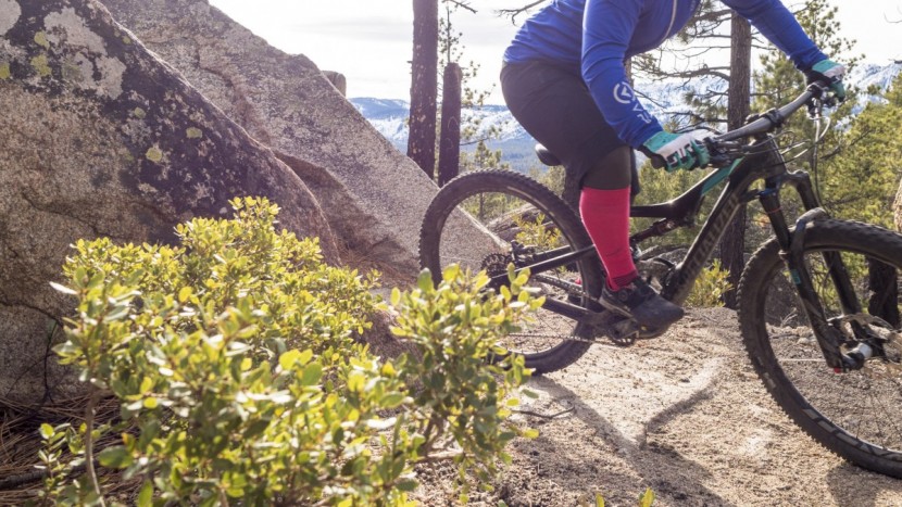 pearl izumi elevate for women - thirteen-inch inseam provided most testers with knee-length...