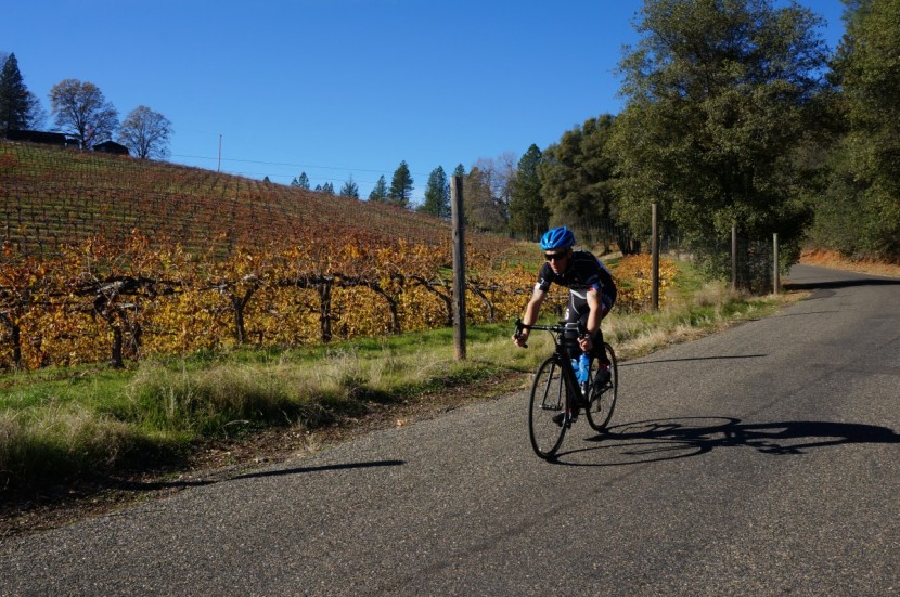 bell gage mips - the bell gage  mips is a solid all around performer.