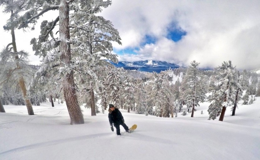 snowboard womens - the arbor swoon rocker floating on a powder day.