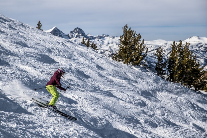 dps nina 99 foundation - the ninas were challenging to bring around without catching or...